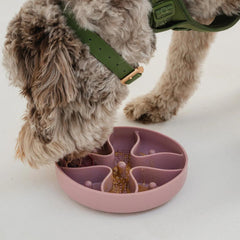 Dexypaws - Hide & Seek Slow Feeder Blush Pink