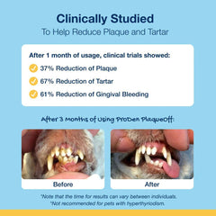 ProDen PlaqueOff Dental Powder Supplement for Cats (10% Brewer's Yeast)