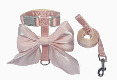 Bow-Knot Cat Harness & Leash Set