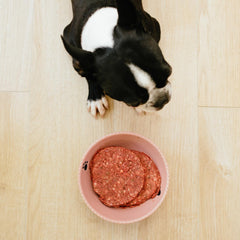 Faim Museau - Hypoallergenic Duck Frozen Raw Dog Food