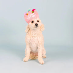 Fringe Studio - If The Crown Fits Wear Then Play Birthday Plush Dog Toy