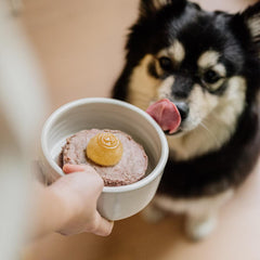 Faim Museau - Cozy Bone Broth