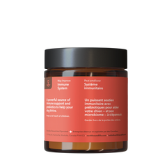 North Hound Life Dog Organic Turkey Tail Mushrooms 40g