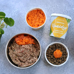 Big Country Raw - Upsides Pumpkin Puree Meal Topper