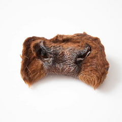 Grand Valley Quail - Beef Snout