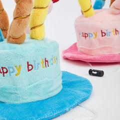 Pet Birthday Cake Hat
