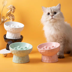 Pet Ceramic Bowl Elevated Raised and Tilted Slow Feeder