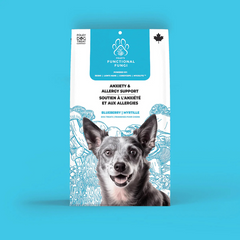 Foley’s Functional Fungi Anxiety & Allergy Support Dog Treats - Blueberry