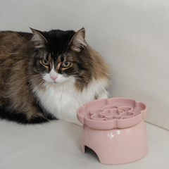 Dexypaws - Elevated Slow Feeder Flower Blush Pink