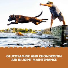 Grizzly Joint Aid Hip & Joint Support Liquid Supplement