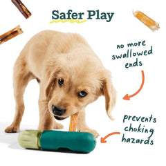 Woof Pet Dog BullySafe Chew Holder