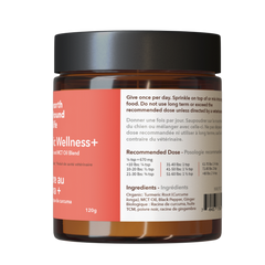 North Hound Life Dog Turmeric Wellness+ 125g