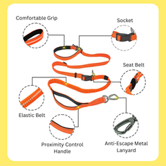 Pet Running Explosion-Proof Nylon Dog Leash 2.5m max
