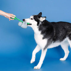 Fringe Studio - How's It Hangin'? Rubber Dog Tug Toy