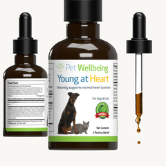 Pet Wellbeing - Young at Heart for Cats