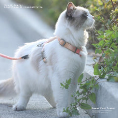 Hoopet Pet Adjustable Harness H Shaped with Leash and Collar