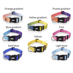 Pet Collar Gradient Color