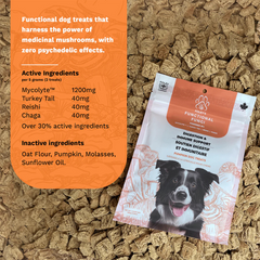 Foley's Functional Fungi Digestion & Immune Support Dog Treats - Pumpkin