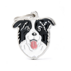 MyFamily - Border Collie