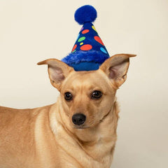Fringe Studio - Birthday Party Squeaker Hat