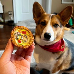 Pawty Bakery - Gobble Gobble Quiche (2pcs - Frozen)