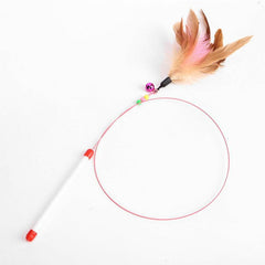 Variety Feather Cat Teaser with Bell
