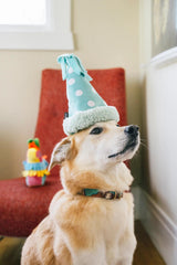 PLAY - Party Animal Yappy Party Hat