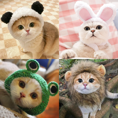 Pet Various Plush Cute Headgear