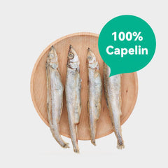 RA NOVA - Freeze-Dried Capelin