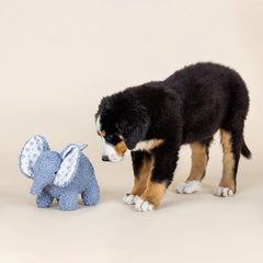 Fringe Studio - Ellie Textured Patchwork Dog Toy