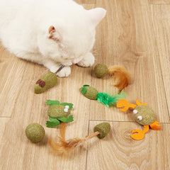 Catnip Ball Toys