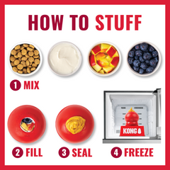 KONG - Classic Dog Rubber Treat Dispensing Toy