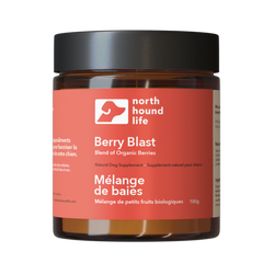 North Hound Life Dog Organic Berry Blast 100g