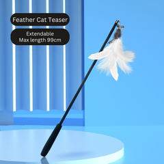 Feather Cat Teaser