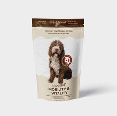 Ancestral - Mobility & Vitality Chews Pouch