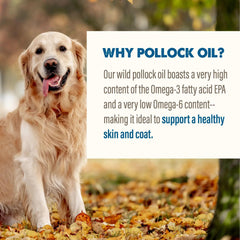 Grizzly Pollock Oil Supplement Liquid For Dogs