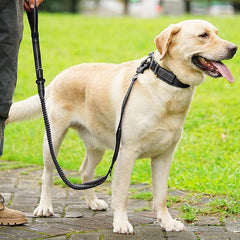 Pet leash for medium large dogs with reflective safety belt