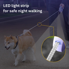 Pet Leash with Flash Light 3m