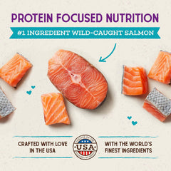 Stella & Chewy's - Cat Raw Coated Kibble Wild-Caught Salmon Recipe