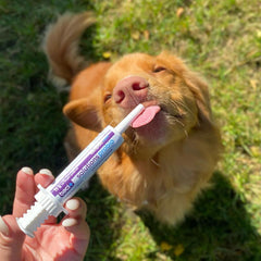 Baci+ - Flora Paste for Dogs - 30g