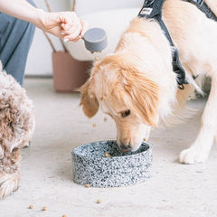 Dexypaws - Salt & Pepper Ceramic Dog Bowl 8"