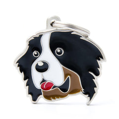 MyFamily - Bernese Mountain Dog