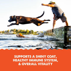 Grizzly Salmon Plus Oil Liquid Supplement