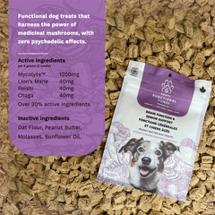 Foley's Functional Fungi Brain Function & Senior Support Dog Treats - Peanut Butter